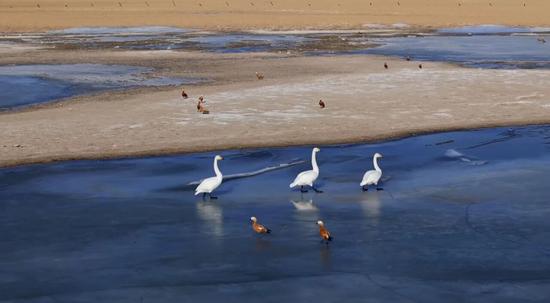 39f3531e219274bb3dcbd67d09423a0f