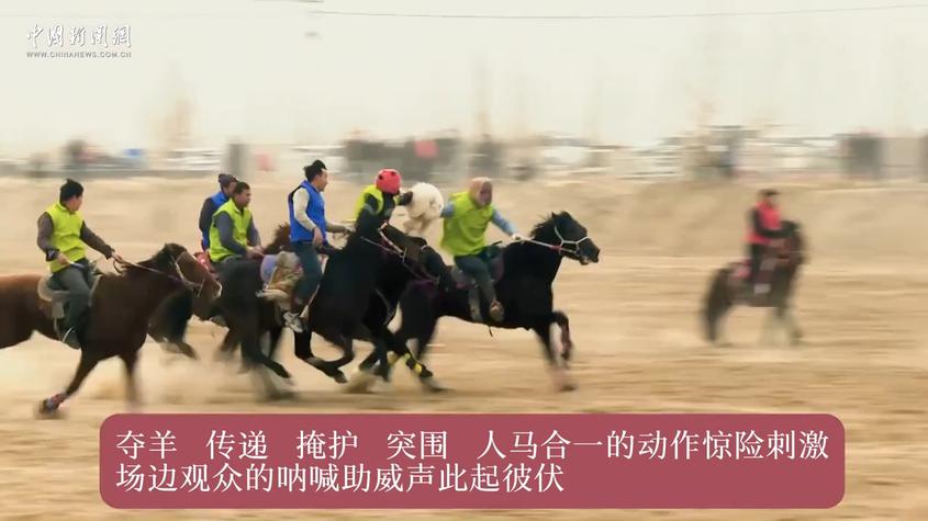 新疆巴州举行沙漠叼羊赛马比赛
