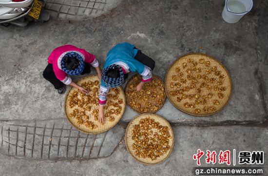 图为制作好的红糖萢果。张帆 摄