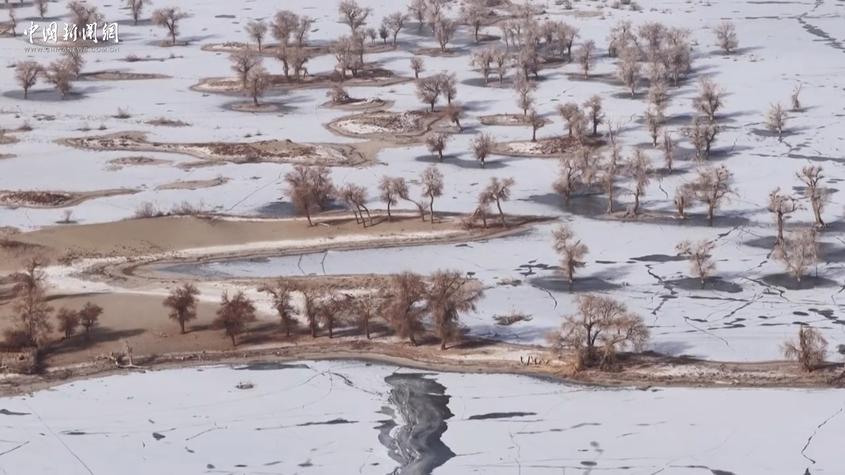 塔克拉玛干北缘现冰裂奇观 罗布淖尔湿地绘就沙漠冬日盛景