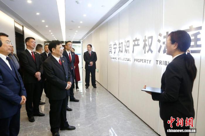 广西首家知识产权法庭在南宁市揭牌成立