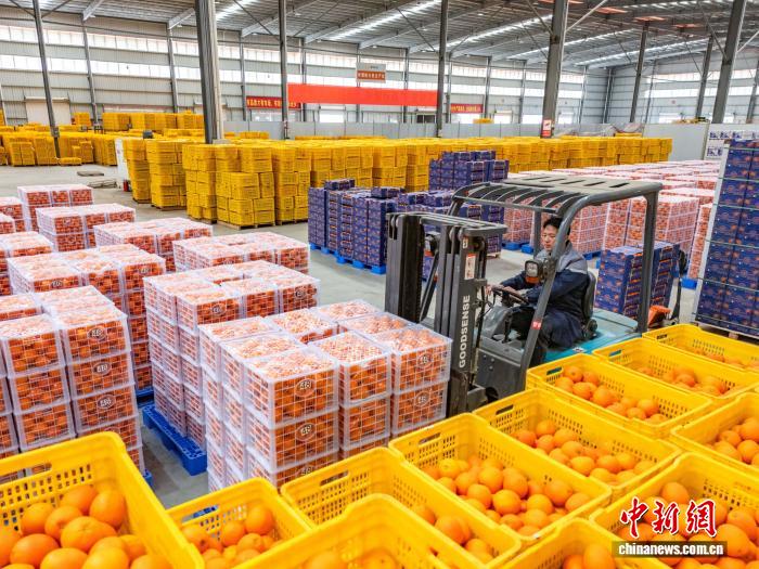 广西贺州瑶乡节前水果销售旺