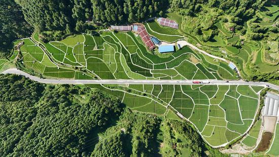 县道穿过基佑村综合种养示范基地双。（剑河县融媒体中心供图）