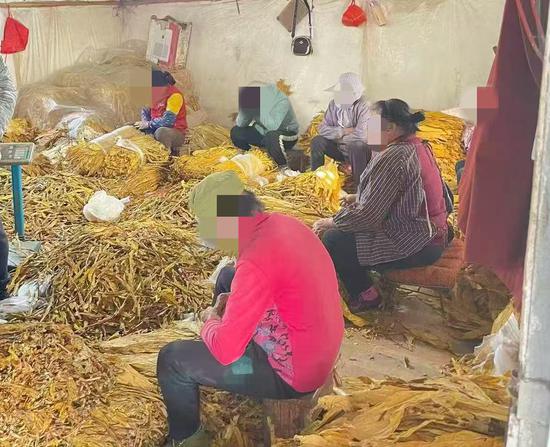 图为查获的非法生产现场。上林烟草供图