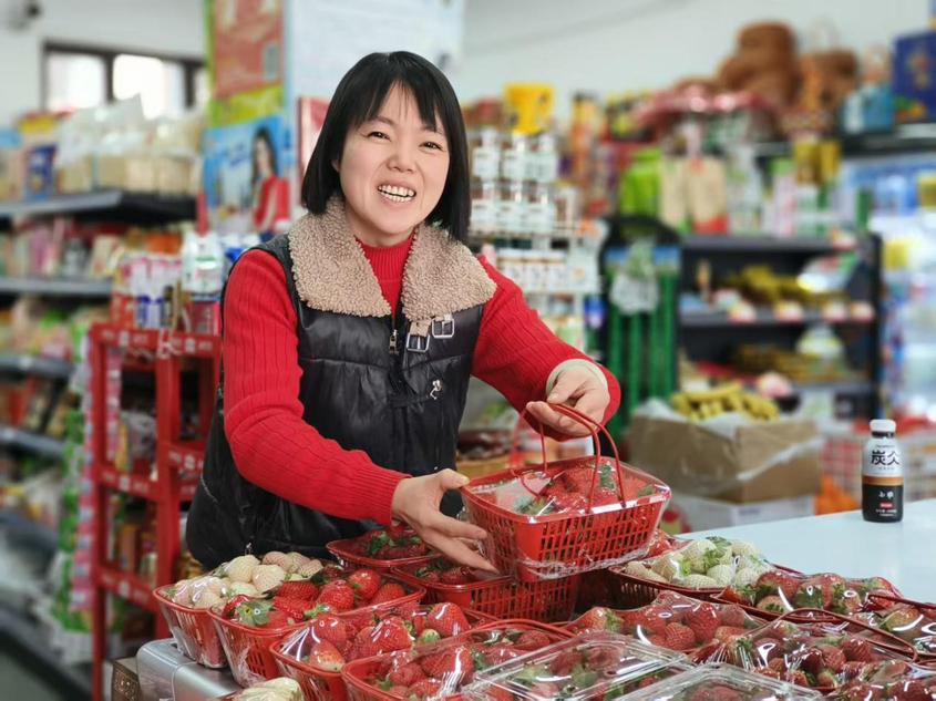 察布查尔县新品种草莓抢鲜上市