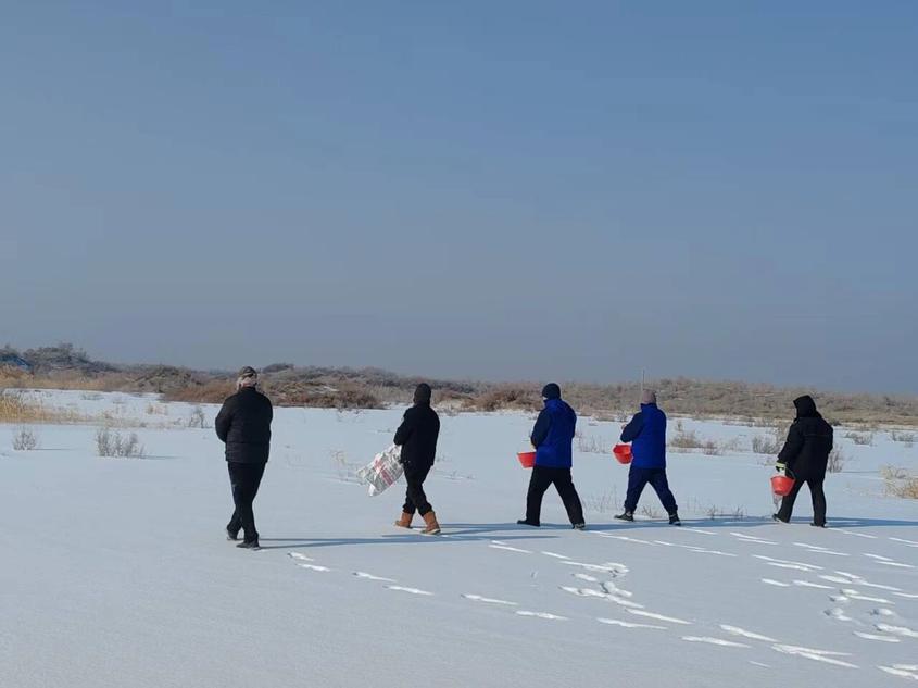 撒粮120公斤！博州为辖区野生动物送上“越冬口粮”