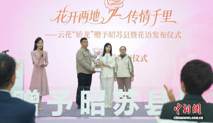 �ƻ��������������� �����Ϊ�Ȱ� ���������ҡ���ʽ����