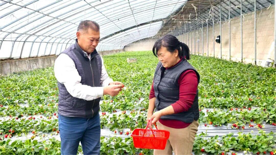 cd70eef20cc7d74ebc88b1b91ada51c5