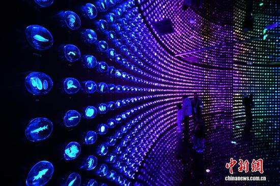 1月30日，天津，观众在“未来海洋”展厅参观生物基因库。当日，位于天津滨海新区的国家海洋博物馆“未来海洋”展厅正式向公众开放。展厅设置了深蓝召唤、时空切片、深海下潜仓、深海空间站、生物基因库、海底隧道、深海交通站、浮冰剧场等主题展区，以沉浸式与交互式科技手段，为观众呈现出未来海洋探索与开发的科幻景象。中新社记者 佟郁 摄