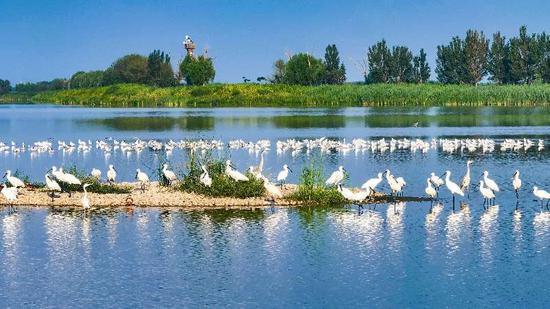 87c3a4b831522421f68b9eccfa4a63e6