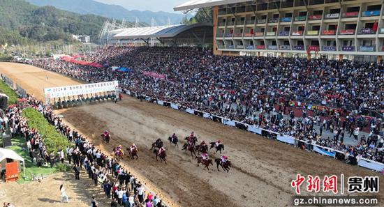 “贵州村马”现场。