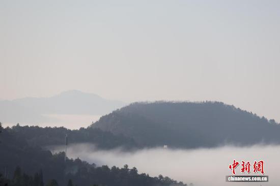 图为2月9日玉舍国家级森林公园云海景观。中新网记者 刘美伶 摄