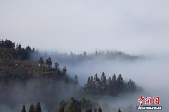 图为2月9日玉舍国家级森林公园云海景观。中新网记者 刘美伶 摄