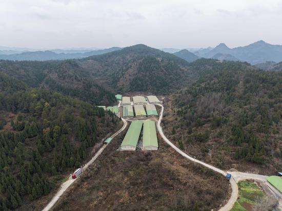 岑巩县大有镇塔山村生猪智能化养殖基地全景。吴祥华 摄