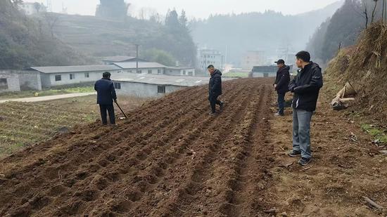 农技人员走进地块指导马铃薯移栽工作。税会静 摄