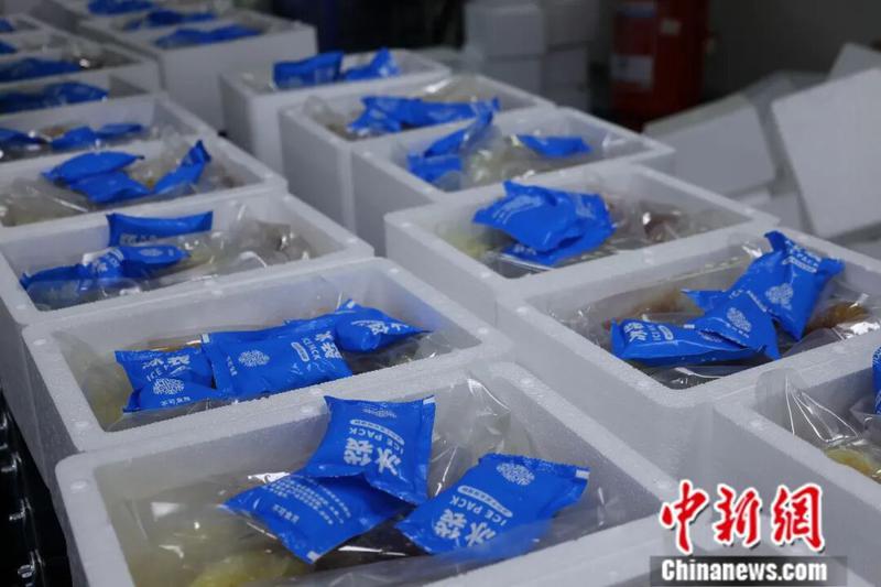 图为放置冰袋打包的冰鲜螺蛳粉。林馨 摄 图为放置冰袋打包的冰鲜螺蛳粉。林馨 摄