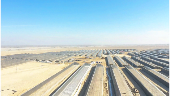 墨玉县万亩戈壁（沙漠）现代设施农业项目施工现场。