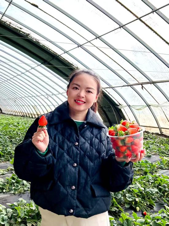 彭丽在自己的大棚展示新鲜草莓。受访者供图