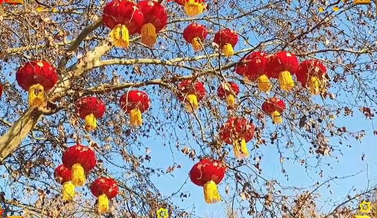 99ed7080dc3f15433109ce11869faf24