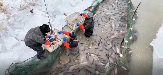 a49b593b4a7b2f67f6fdf86bc8e69400