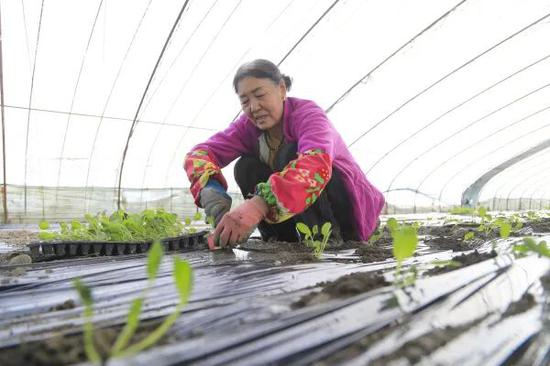 ea9f9e6551caea636419b774ba8e953d