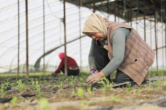 daad8a99a1ffe4fdaa9b3e349d147fd8