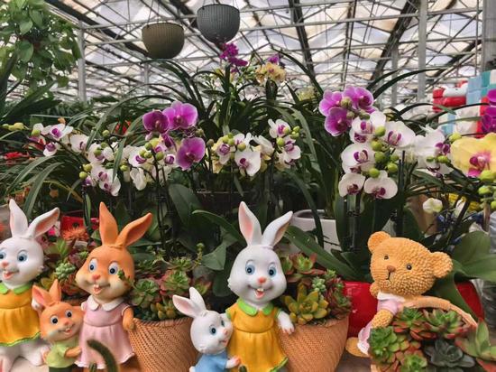 7243450b372eac8cb85fd31b1b7dcef0