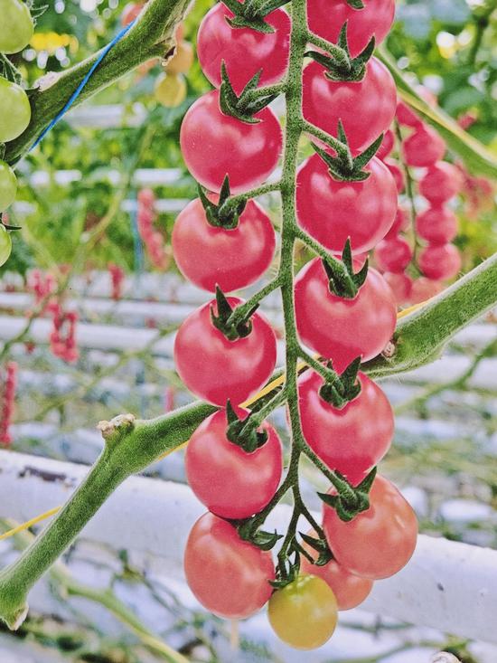 f3e31a7670eab9a37faac6fe84d553f8