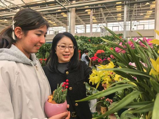 6655ffc5b7a704424dd8c255341a9852