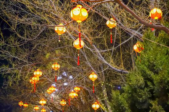 67e0a79f8f61d12a6aa7f43064c9cfa3