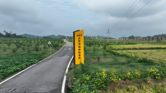 柚香谷武胜种植基地