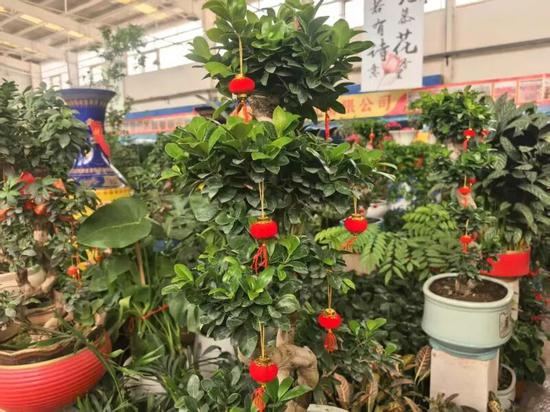 fa27e37115d2c0ee2fb58d6dbdff00f8