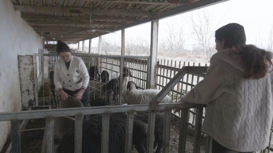 619f4351c2950345d158bcfe1518a673