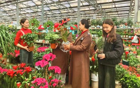 春节临近，寓意美好的鲜花绿植成为居民装点家居、迎祥纳福的热门选择。古哈尔尼沙 摄