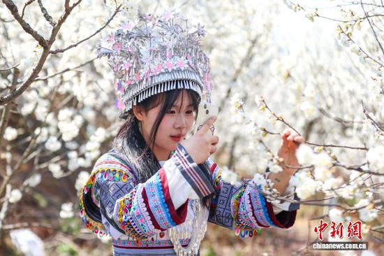 图为2月21日,游客在贵州省毕节市纳雍县厍东关乡游玩赏花。李华 摄 图为2月21日,游客在贵州省毕节市纳雍县厍东关乡游玩赏花。李华 摄
