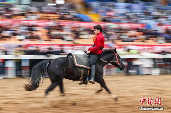 2月22日,公开赛间隙进行的马术表演。中新社记者 瞿宏伦 摄 2月22日,公开赛间隙进行的马术表演。中新社记者 瞿宏伦 摄