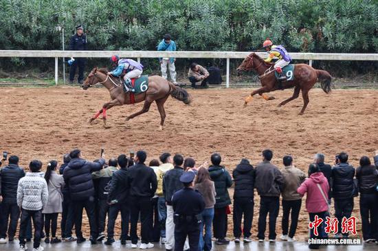 2月22日,骑手在1000米小马组决赛中。中新社记者 瞿宏伦 摄 2月22日,骑手在1000米小马组决赛中。中新社记者 瞿宏伦 摄