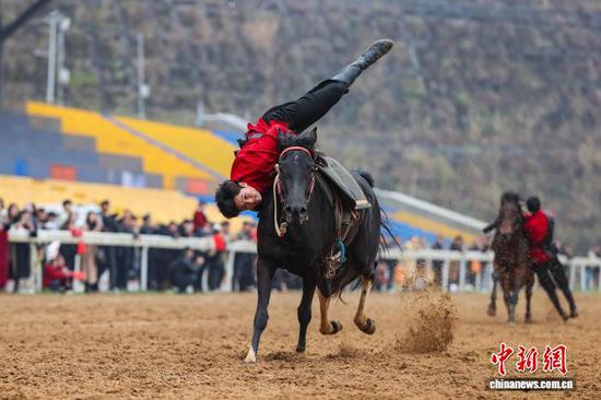 2月22日,公开赛间隙进行的马术表演。中新社记者 瞿宏伦 摄 2月22日,公开赛间隙进行的马术表演。中新社记者 瞿宏伦 摄