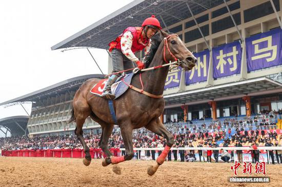 2月22日,骑手在3300米大马组决赛中。中新社记者 瞿宏伦 摄 2月22日,骑手在3300米大马组决赛中。中新社记者 瞿宏伦 摄
