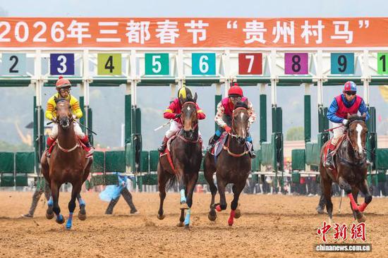 2月22日,骑手在3300米大马组决赛中。中新社记者 瞿宏伦 摄 2月22日,骑手在3300米大马组决赛中。中新社记者 瞿宏伦 摄