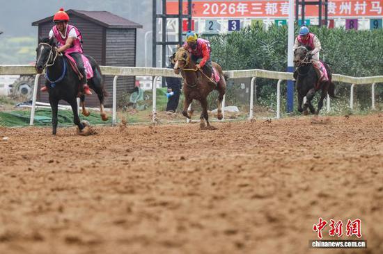 2月22日,骑手在3300米小马组决赛中。中新社记者 瞿宏伦 摄 2月22日,骑手在3300米小马组决赛中。中新社记者 瞿宏伦 摄