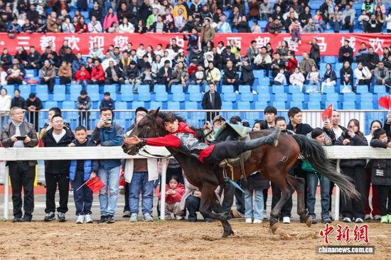 2月22日,马术表演吸引民众观看。中新社记者 瞿宏伦 摄 2月22日,马术表演吸引民众观看。中新社记者 瞿宏伦 摄