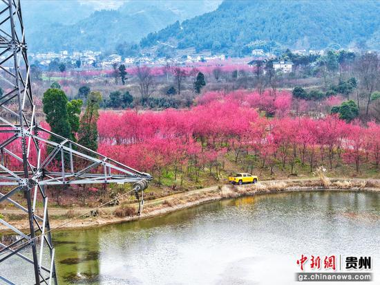 南方电网贵州遵义湄潭供电局工作人员在10千伏洗鱼线开展春节保供电特巡,黄色的抢修车穿行在“早春图”里。梁军 摄 南方电网贵州遵义湄潭供电局工作人员在10千伏洗鱼线开展春节保供电特巡,黄色的抢修车穿行在“早春图”里。梁军 摄