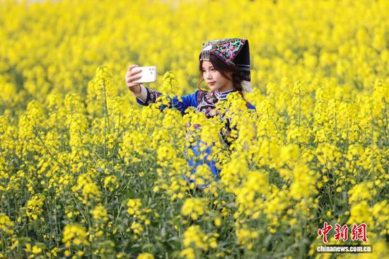 2月24日,游客在金海雪山油菜花田里自拍。近日,随着气温回升,贵州省黔南布依族苗族自治州贵定县盘江镇的樱花、油菜花竞相绽放,吸引不少游客前来踏春赏花。中新社记者 瞿宏伦 摄 2月24日,游客在金海雪山油菜花田里自拍。近日,随着气温回升,贵州省黔南布依族苗族自治州贵定县盘江镇的樱花、油菜花竞相绽放,吸引不少游客前来踏春赏花。中新社记者 瞿宏伦 摄
