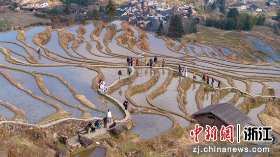 游人在云和梯田穿梭。刘龙龙 摄 游人在云和梯田穿梭。刘龙龙 摄