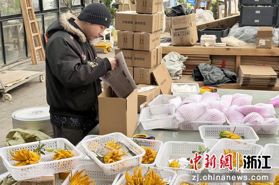 近日,澧浦花木城一处佛手打包发货现场。董易鑫 摄 近日,澧浦花木城一处佛手打包发货现场。董易鑫 摄