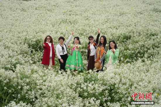 图为2月25日,民众在肥田萝卜花丛中拍照。石小杰 摄 图为2月25日,民众在肥田萝卜花丛中拍照。石小杰 摄