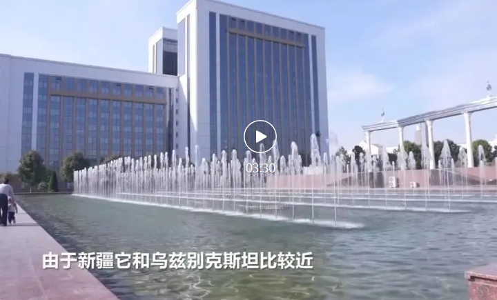 侨乡故事 | 张凯：做促进中国和乌兹别克斯坦相知相亲的使者