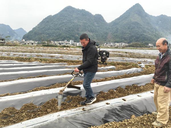 图为技术员在田间示范井窖打孔。黄深 摄