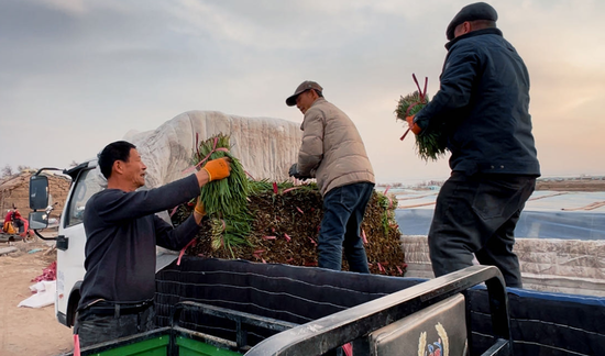 f1e9cc01b6f20022f72c258e516d48a9